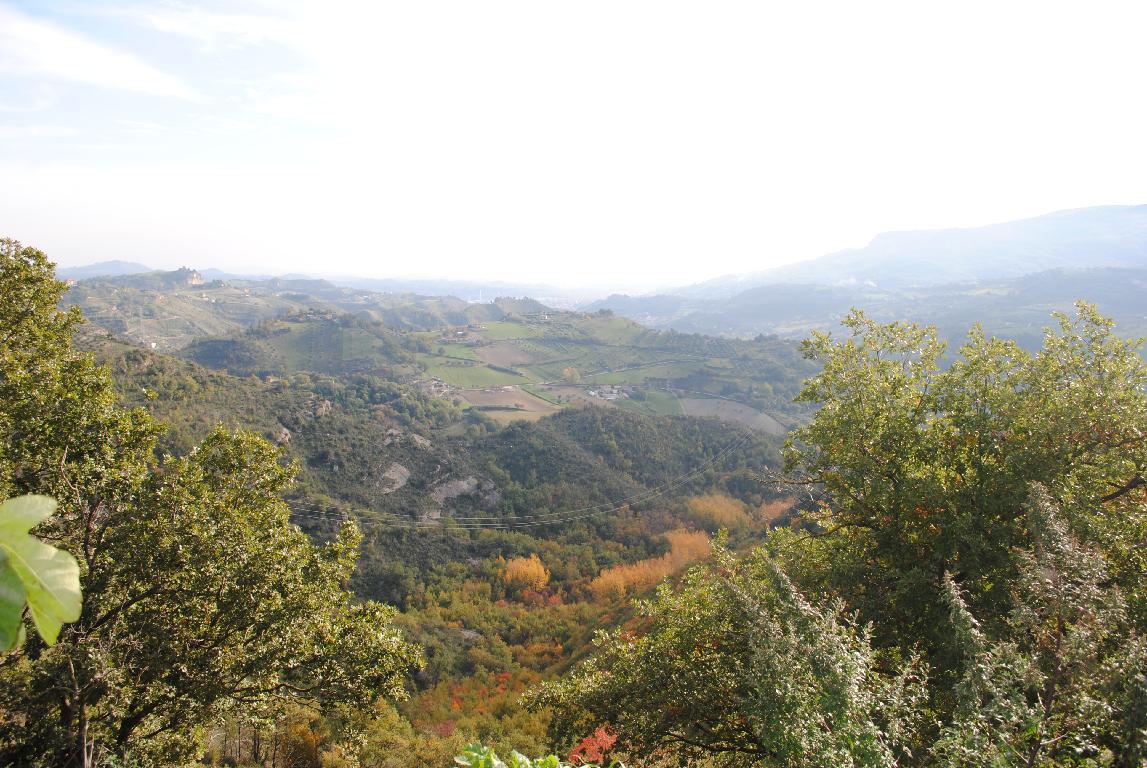 1521 - CASOLARE VENDITA VENAROTTA ZONA VENAROTTA - € 35.000 2