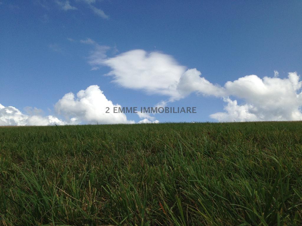4071 - EDIFICABILE VENDITA CASTEL DI LAMA ZONA CASTEL DI LAMA - € 65.000