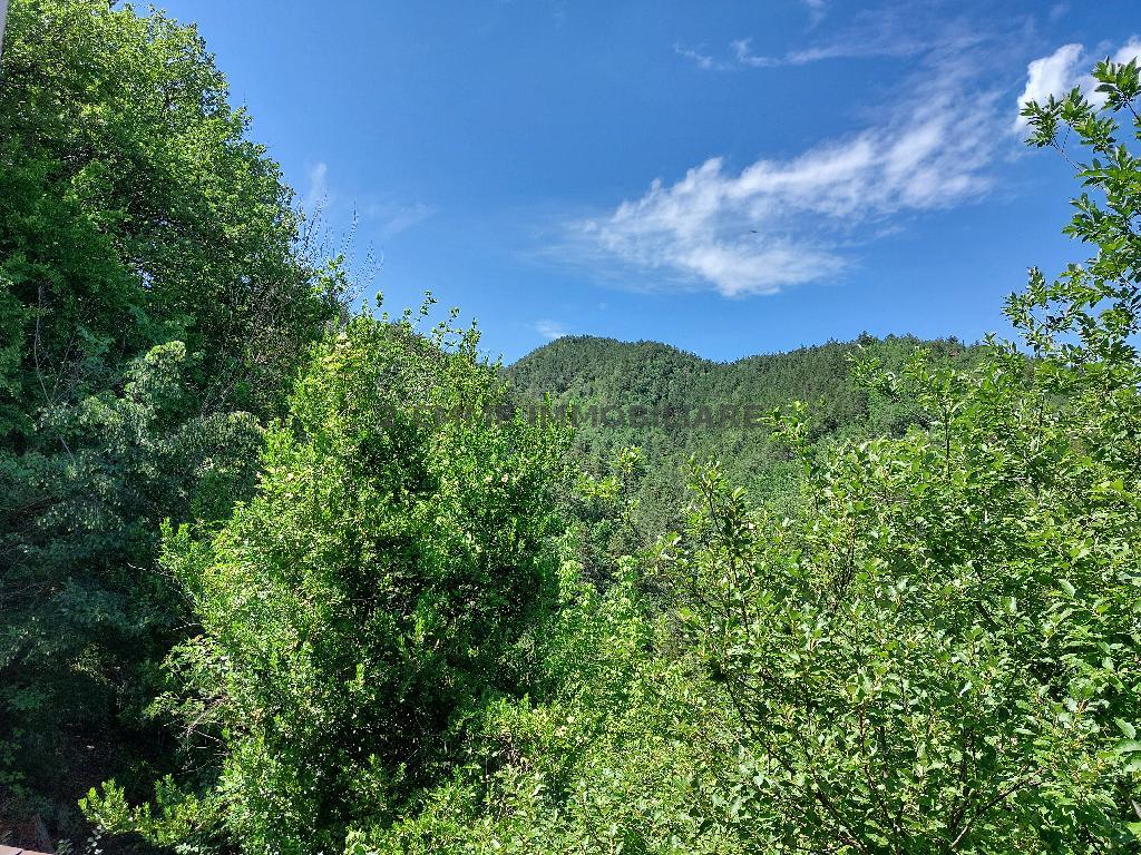 4287 - CASA COLONICA VENDITA ROCCAFLUVIONE ZONA CAMPAGNA - € 75.000 7