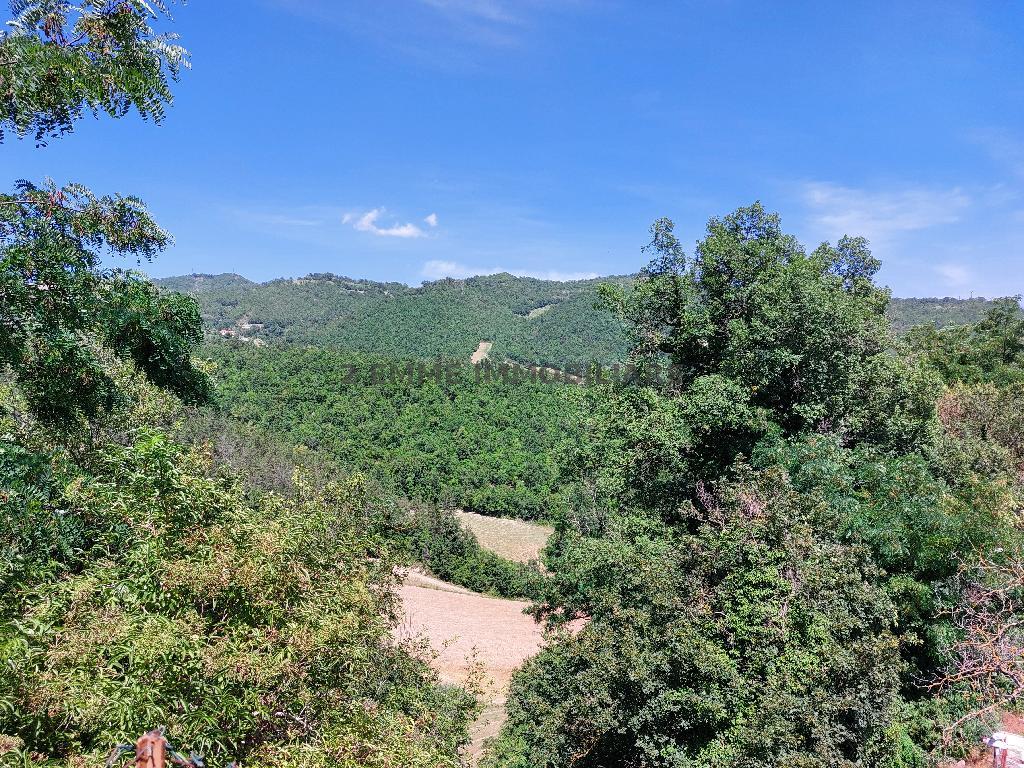 4287 - CASA COLONICA VENDITA ROCCAFLUVIONE ZONA CAMPAGNA - € 75.000 8