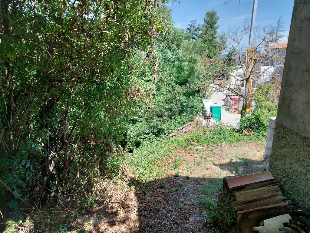 4287 - CASA COLONICA VENDITA ROCCAFLUVIONE ZONA CAMPAGNA - € 75.000 10