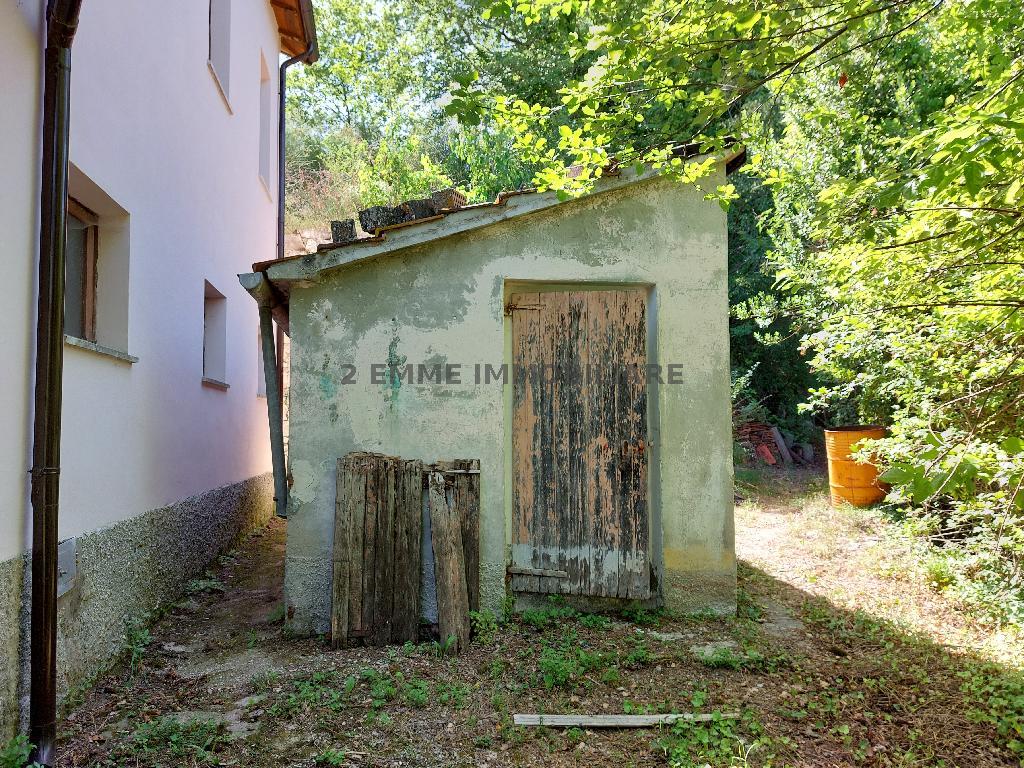 4287 - CASA COLONICA VENDITA ROCCAFLUVIONE ZONA CAMPAGNA - € 75.000 11