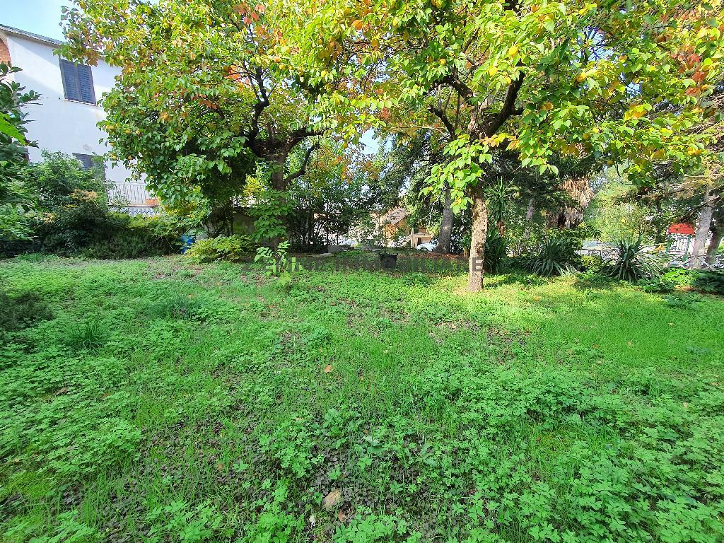 4299 - CIELO-TERRA VENDITA CIVITELLA DEL TRONTO ZONA VILLA LEMPA - € 95.000 45
