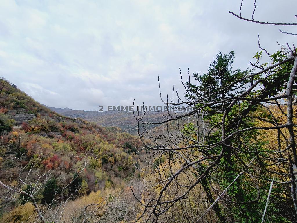 4332 - CASA INDIPENDENTE VENDITA ACQUASANTA TERME ZONA MONTAGNA - € 45.000 16