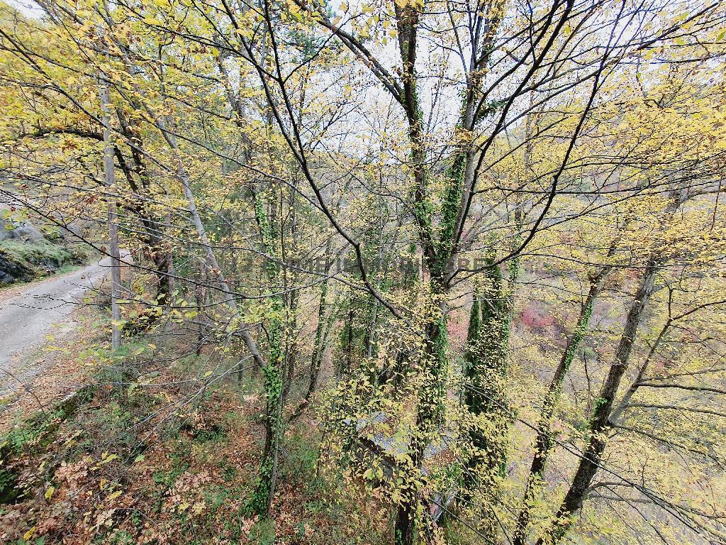 4332 - CASA INDIPENDENTE VENDITA ACQUASANTA TERME ZONA MONTAGNA - € 45.000 17