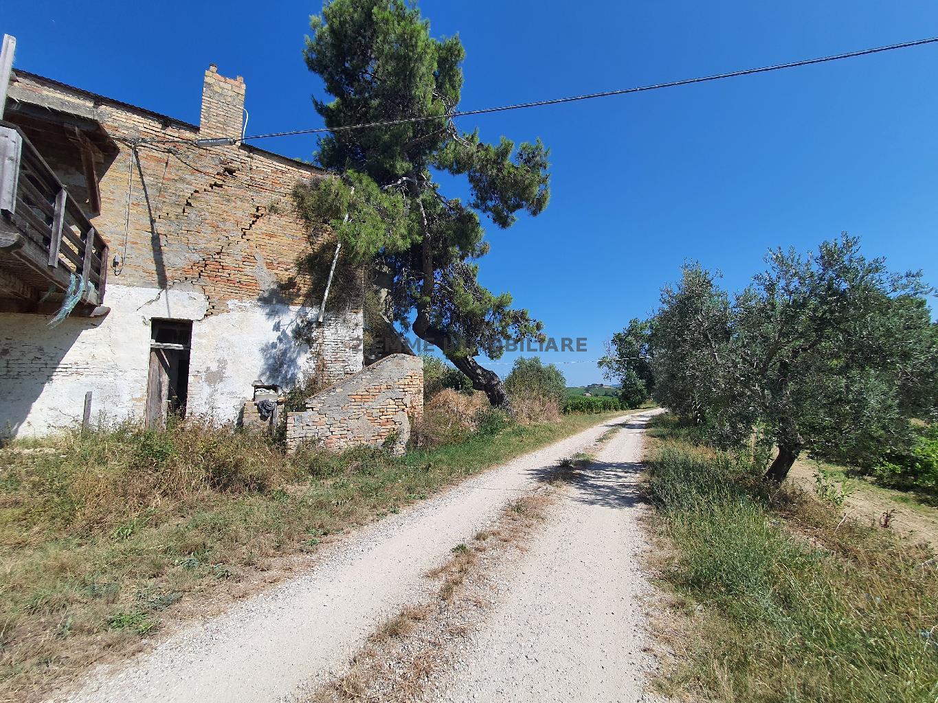 4635 - CASA RURALE VENDITA ASCOLI PICENO ZONA OFFIDA - € 150.000 6