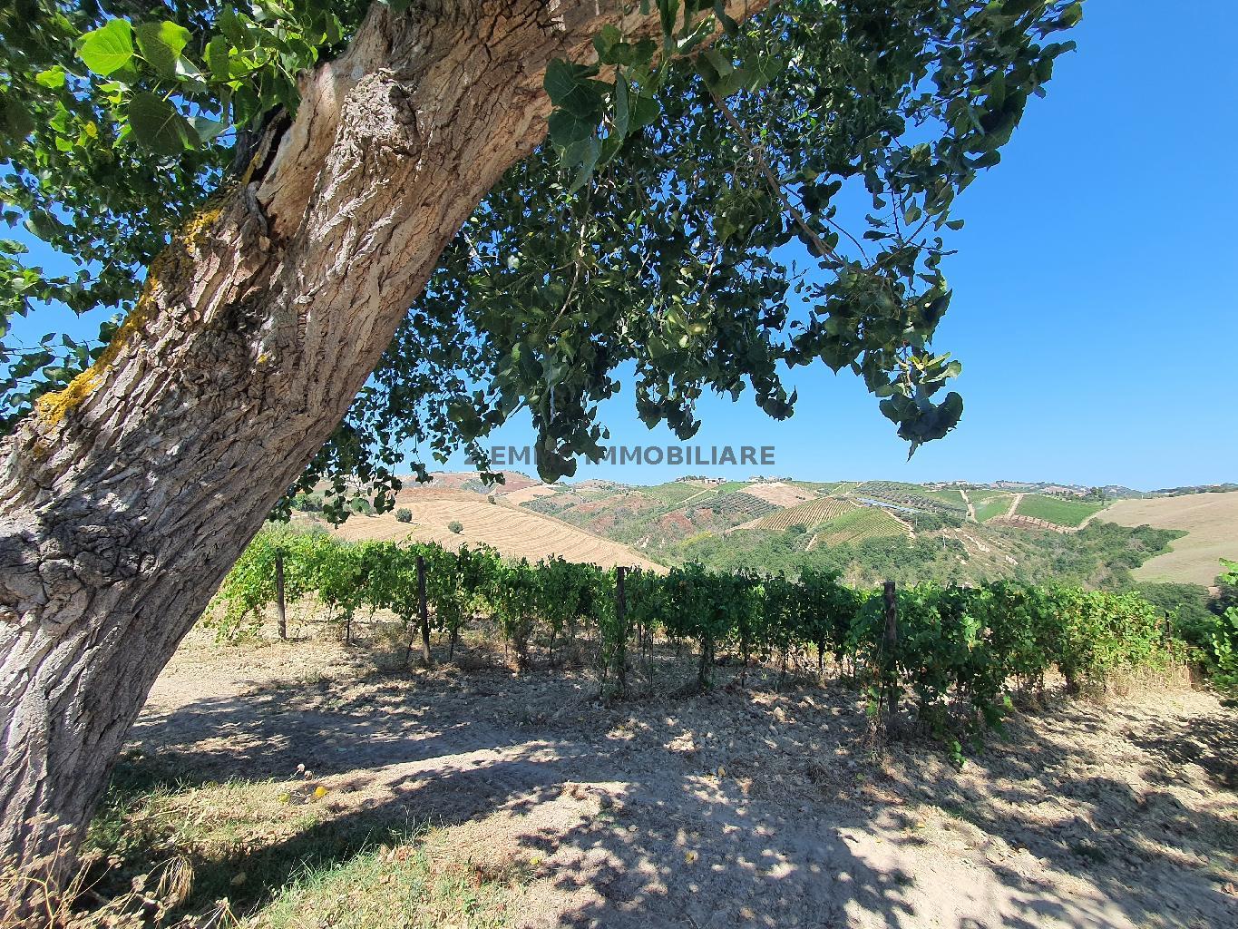 4635 - CASA RURALE VENDITA ASCOLI PICENO ZONA OFFIDA - € 150.000 10