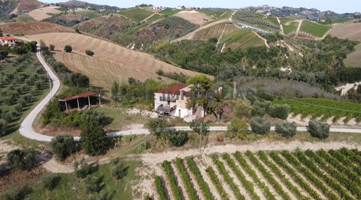 4635 - CASA RURALE VENDITA ASCOLI PICENO ZONA OFFIDA - € 150.000 19