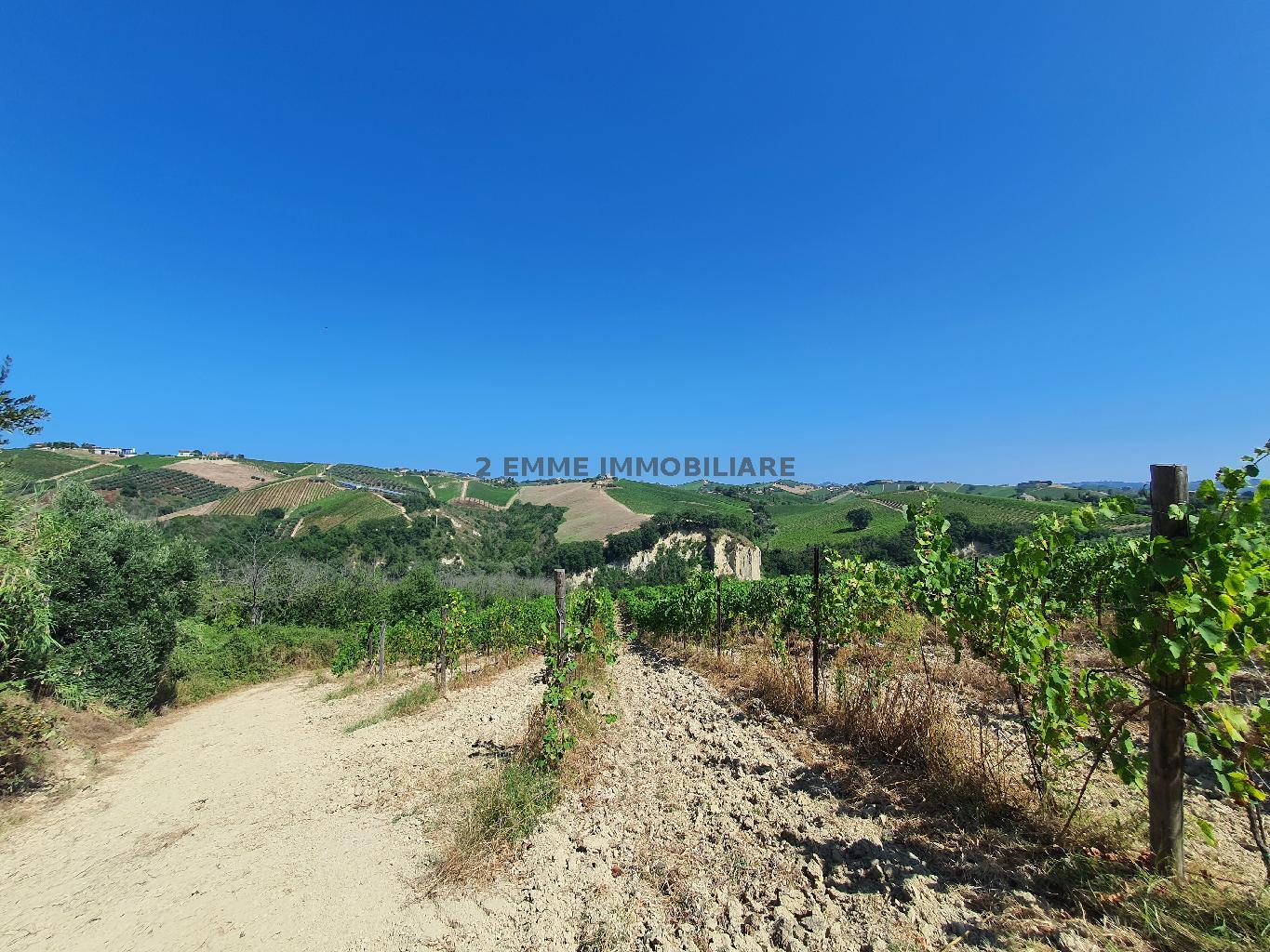 4635 - CASA RURALE VENDITA ASCOLI PICENO ZONA OFFIDA - € 150.000 20