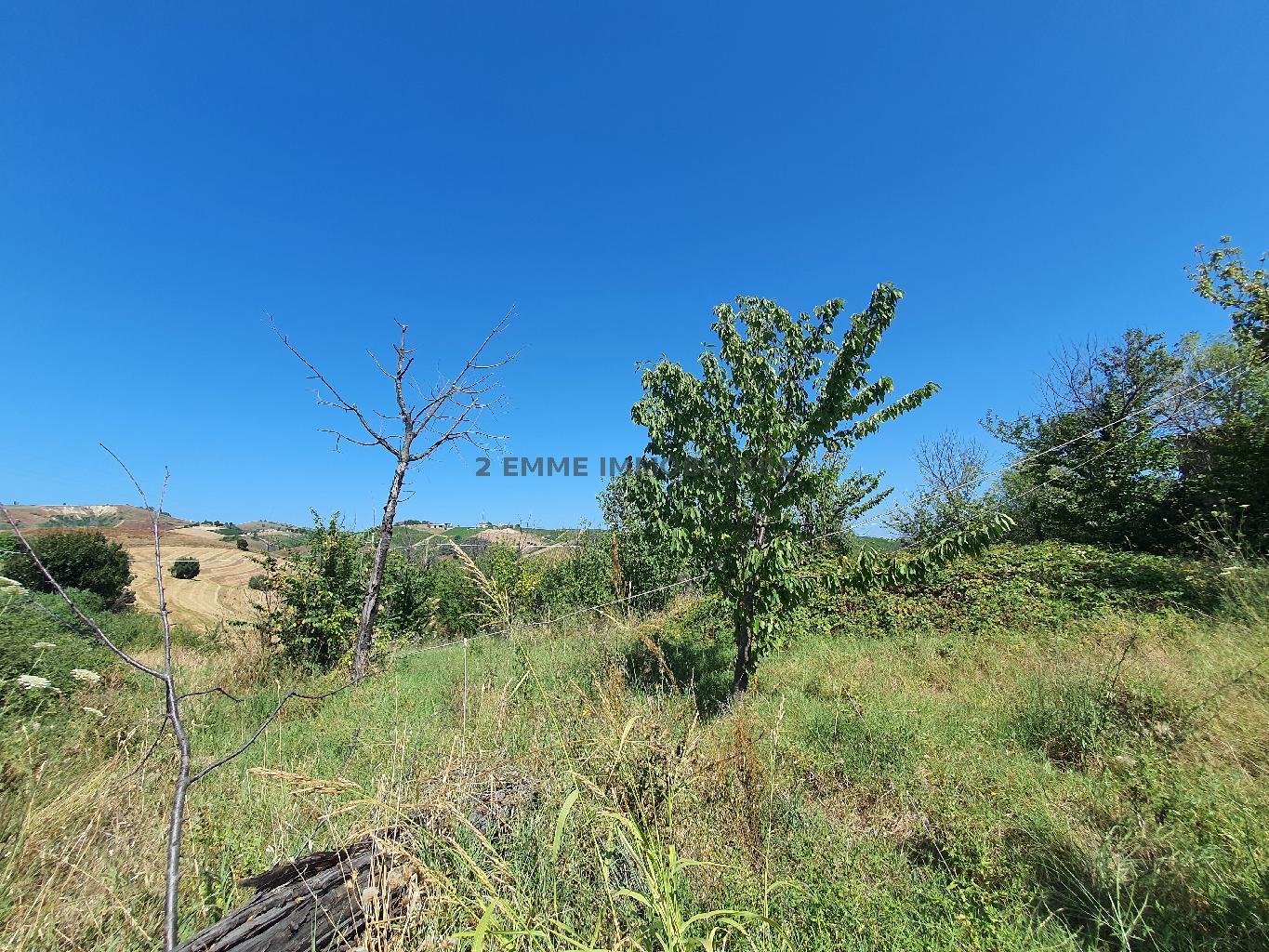 4635 - CASA RURALE VENDITA ASCOLI PICENO ZONA OFFIDA - € 150.000 24