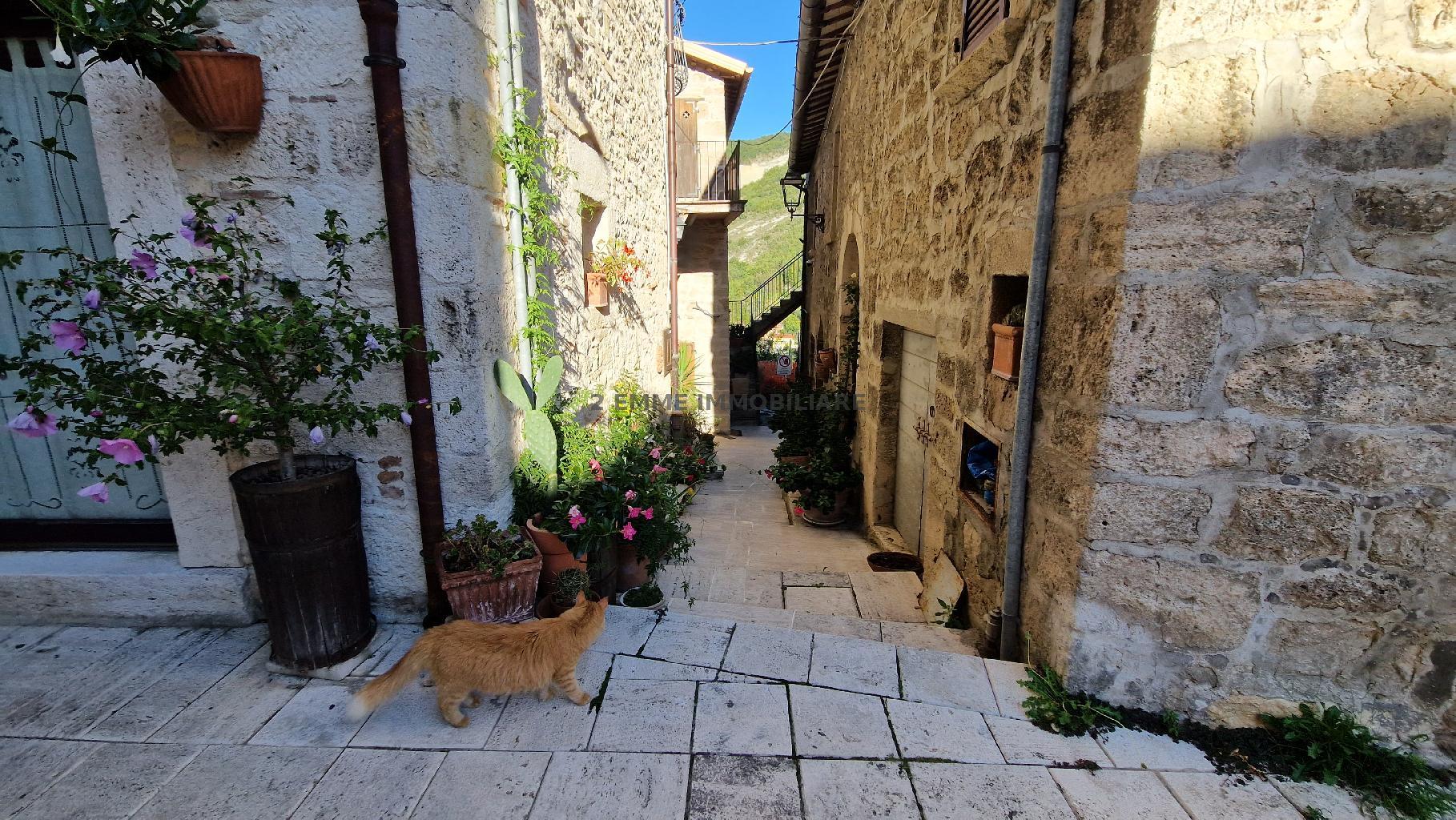 4680 - CASA INDIPENDENTE VENDITA ASCOLI PICENO ZONA CASTEL TROSINO - € 150.000 21