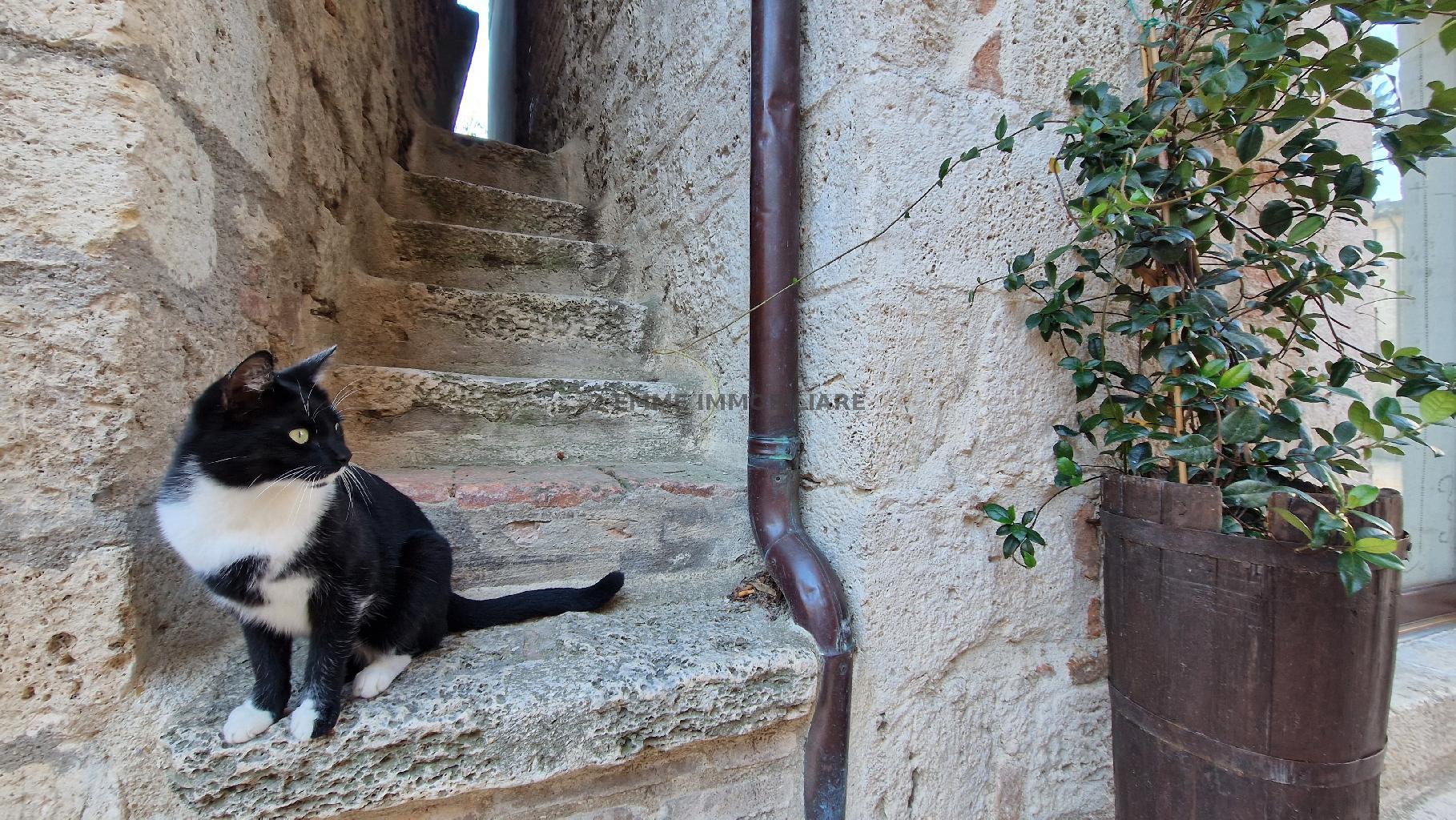 4680 - CASA INDIPENDENTE VENDITA ASCOLI PICENO ZONA CASTEL TROSINO - € 150.000 24