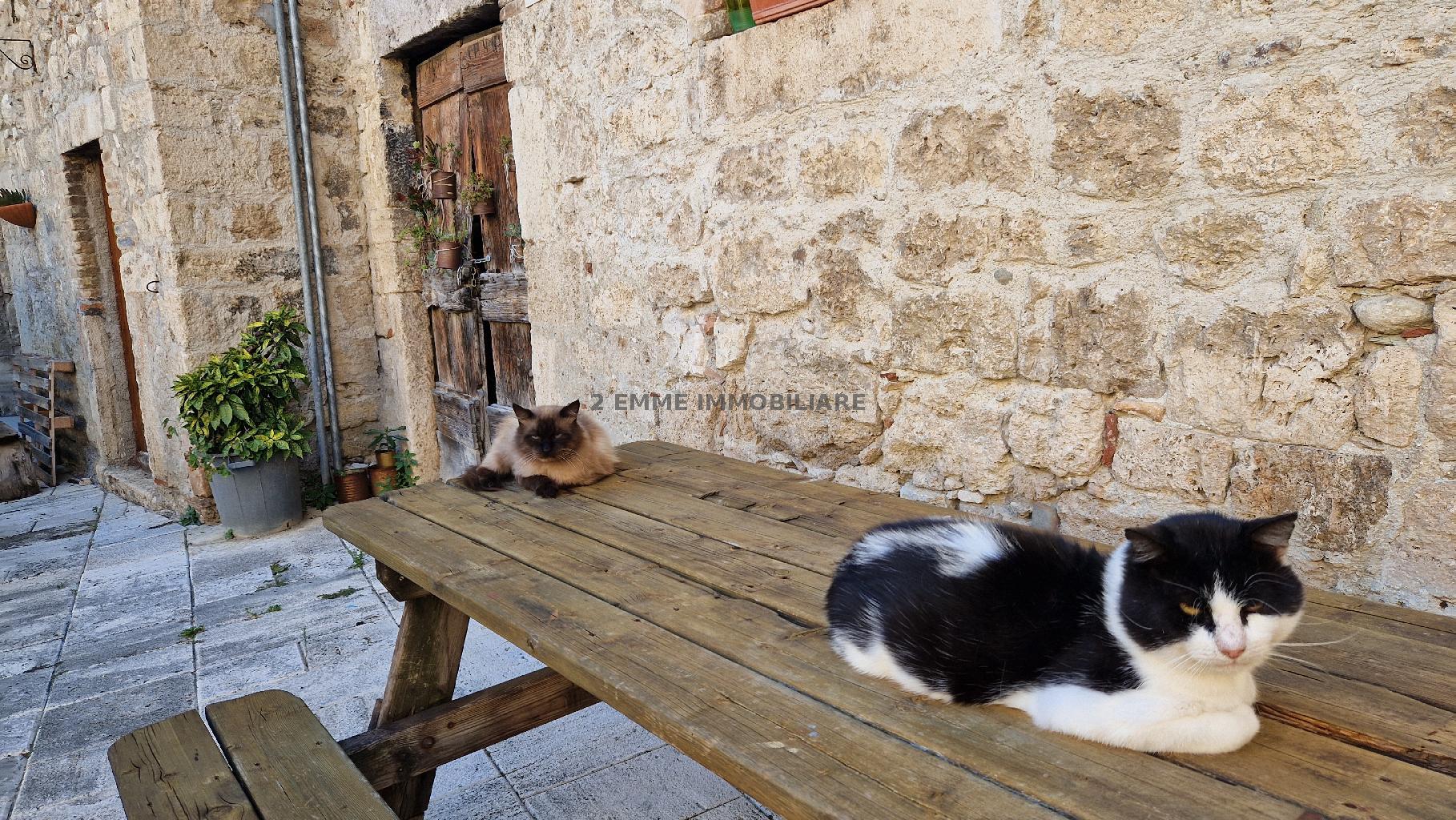 4680 - CASA INDIPENDENTE VENDITA ASCOLI PICENO ZONA CASTEL TROSINO - € 150.000 25