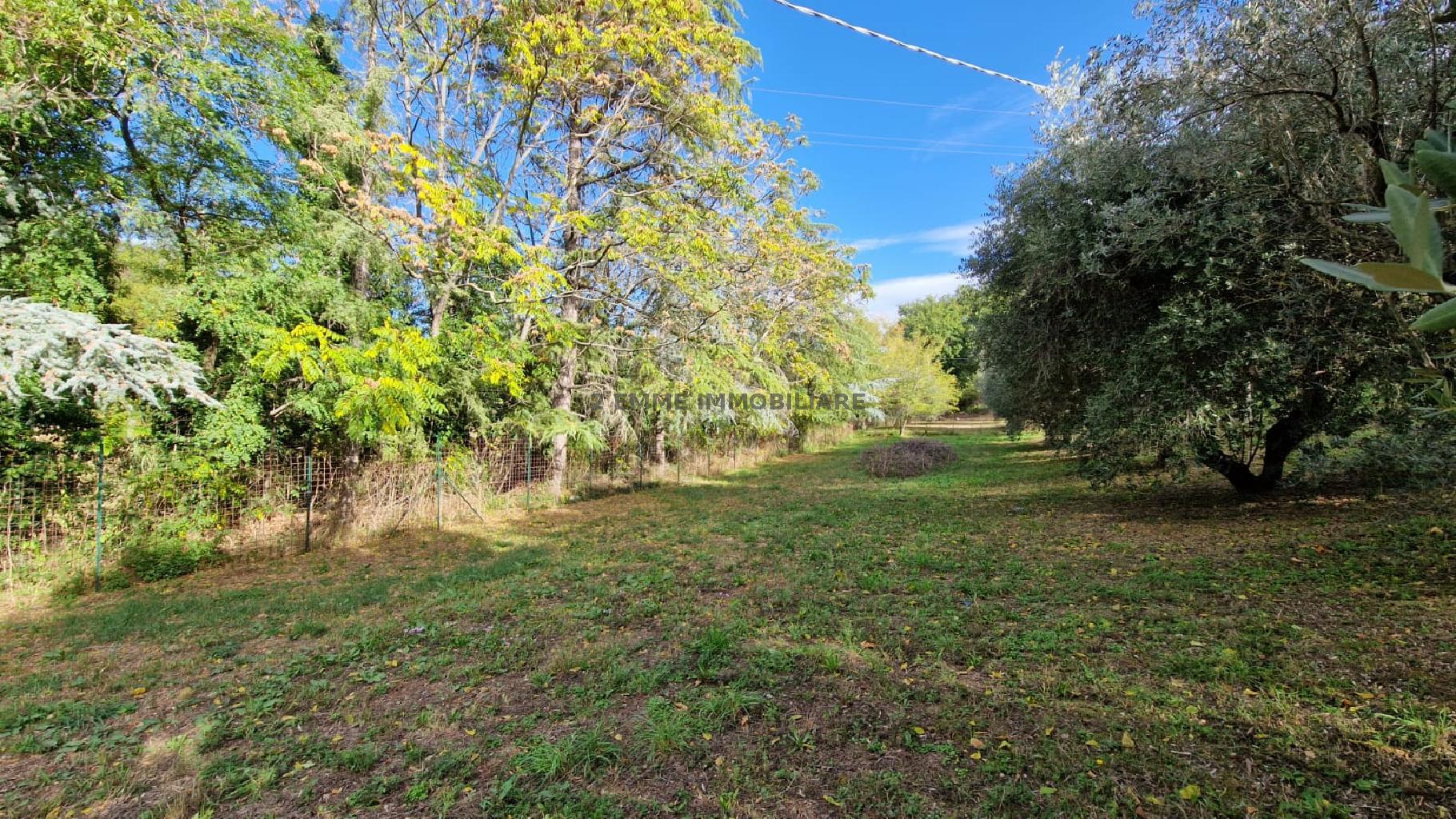 4731 - TERRENO VENDITA ASCOLI PICENO ZONA BORGO SOLESTA' - € 90.000