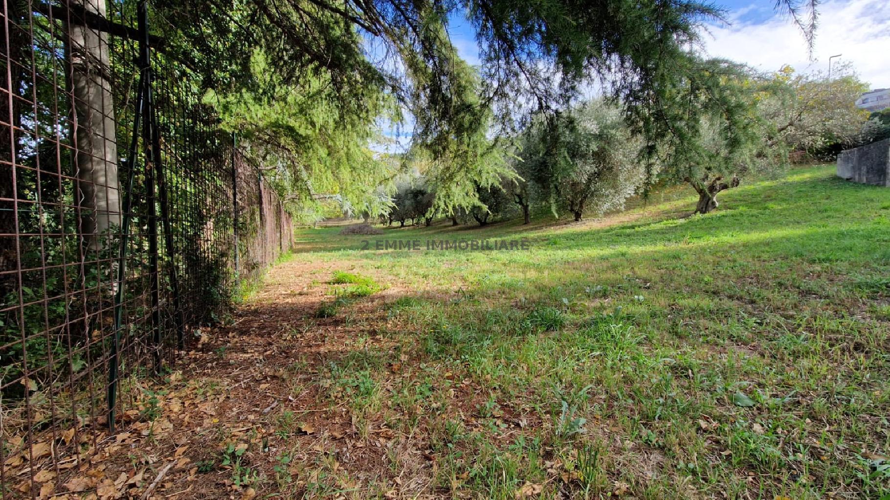 4731 - TERRENO VENDITA ASCOLI PICENO ZONA BORGO SOLESTA' - € 90.000 2