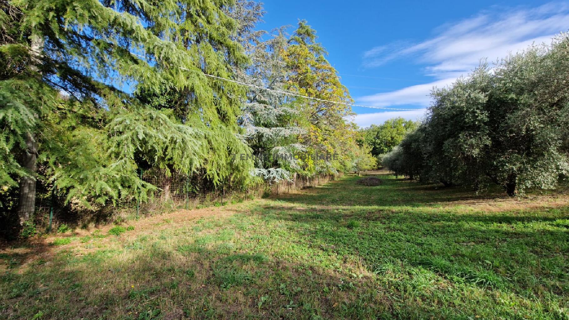 4731 - TERRENO VENDITA ASCOLI PICENO ZONA BORGO SOLESTA' - € 90.000 4