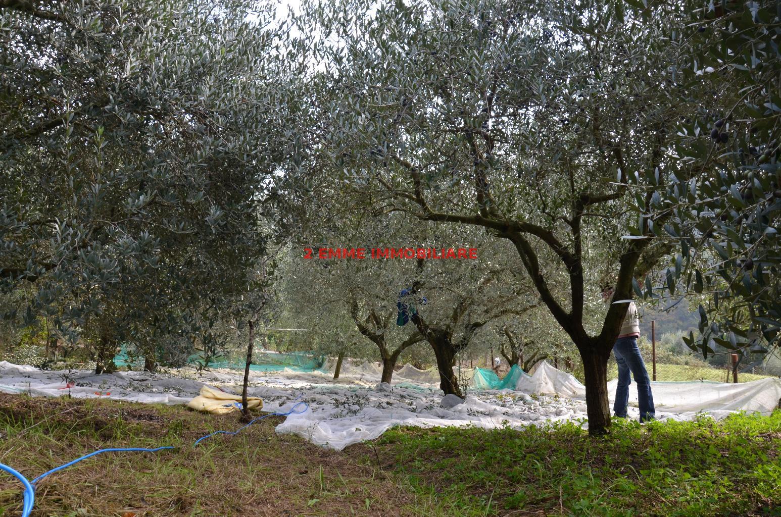 4833 - CASA COLONICA VENDITA ASCOLI PICENO ZONA VENAGRANDE - € 65.000 5