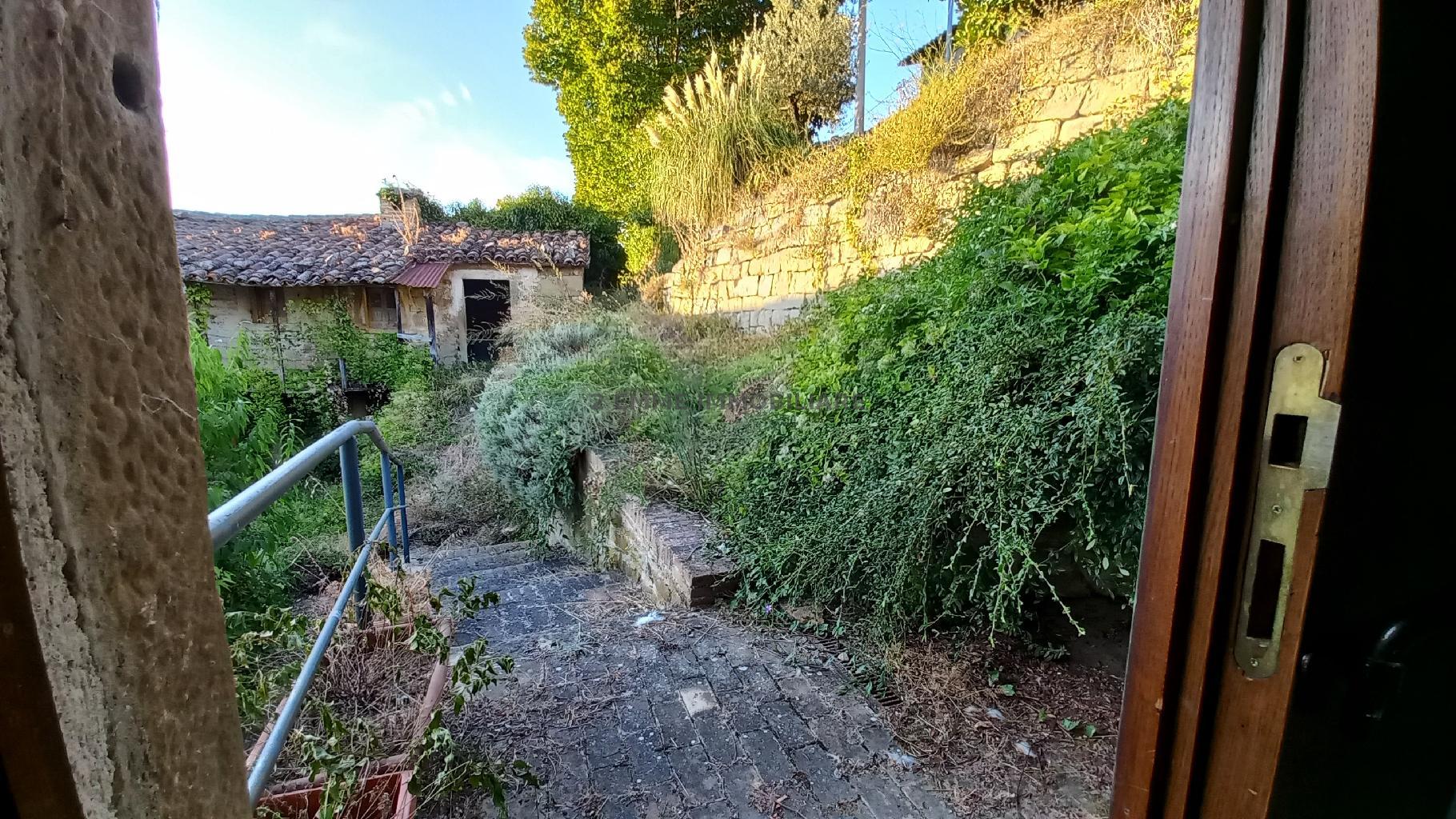 4980 - CIELO-TERRA VENDITA ASCOLI PICENO ZONA CAMPAGNA - € 43.000 26