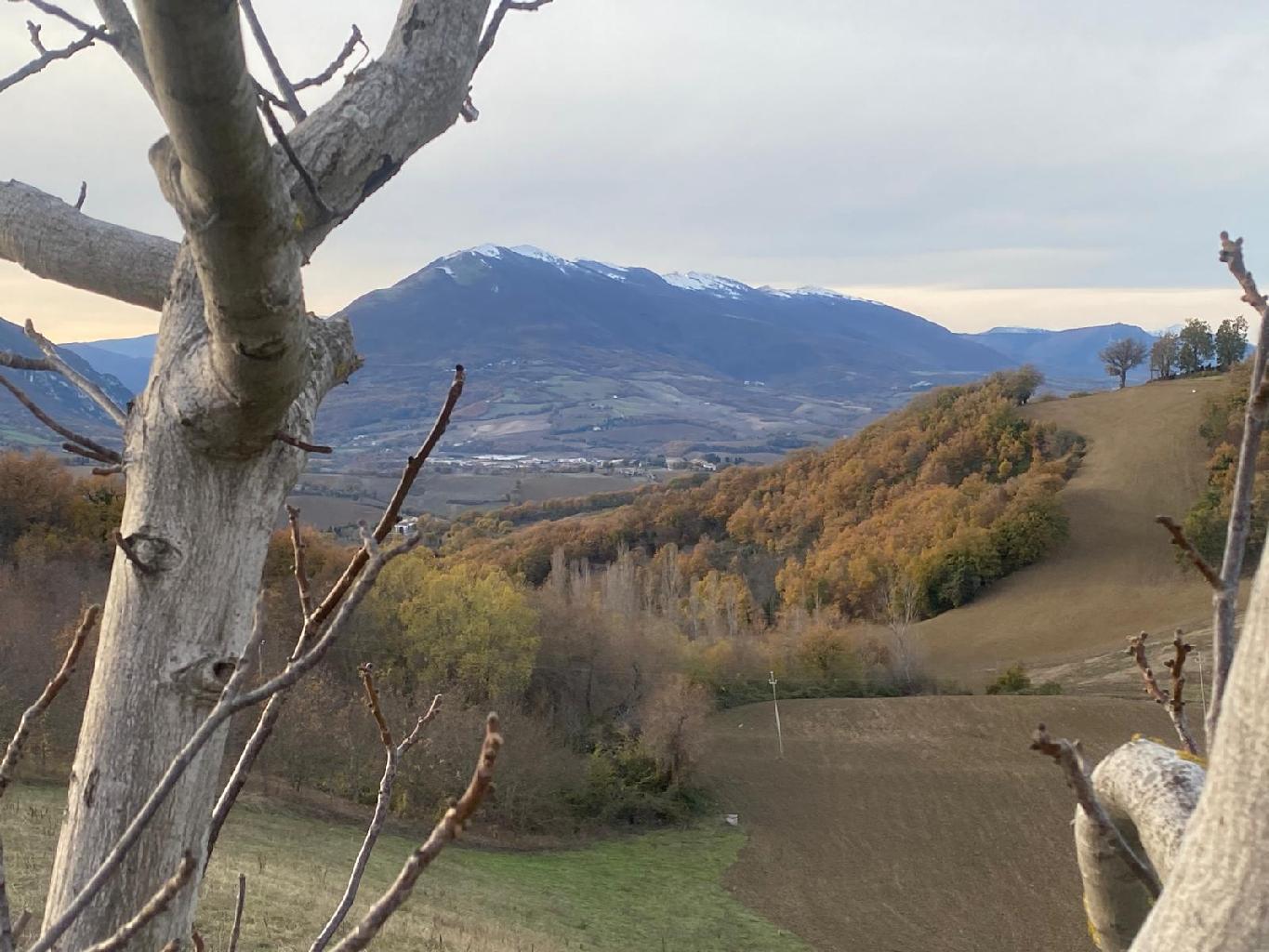 5040 - CASALE VENDITA CAMERINO ZONA CAMPAGNA - € 65.000 8