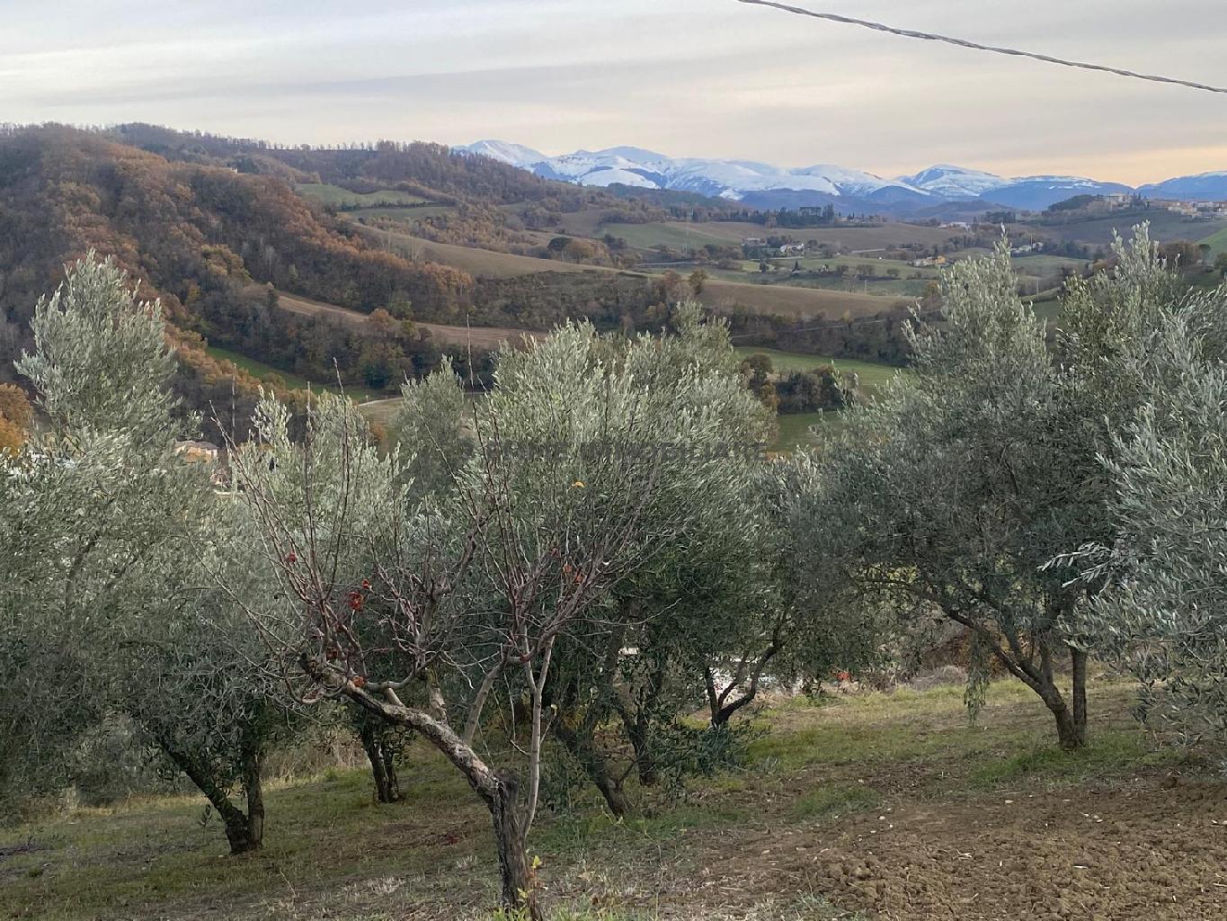 5040 - CASALE VENDITA CAMERINO ZONA CAMPAGNA - € 65.000 9