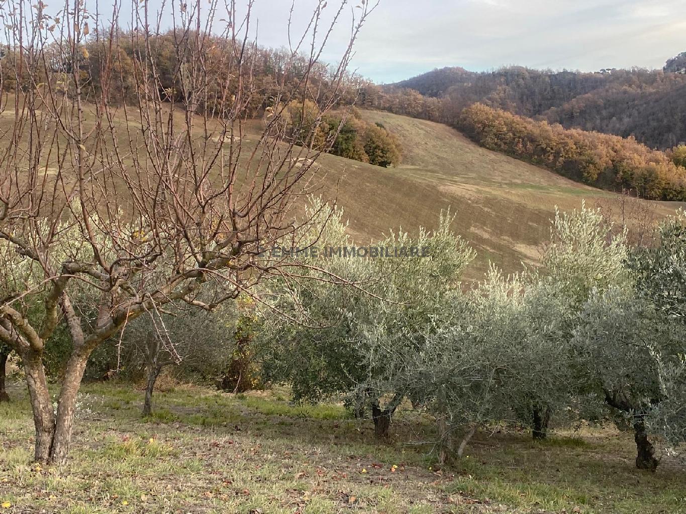 5040 - CASALE VENDITA CAMERINO ZONA CAMPAGNA - € 65.000 11