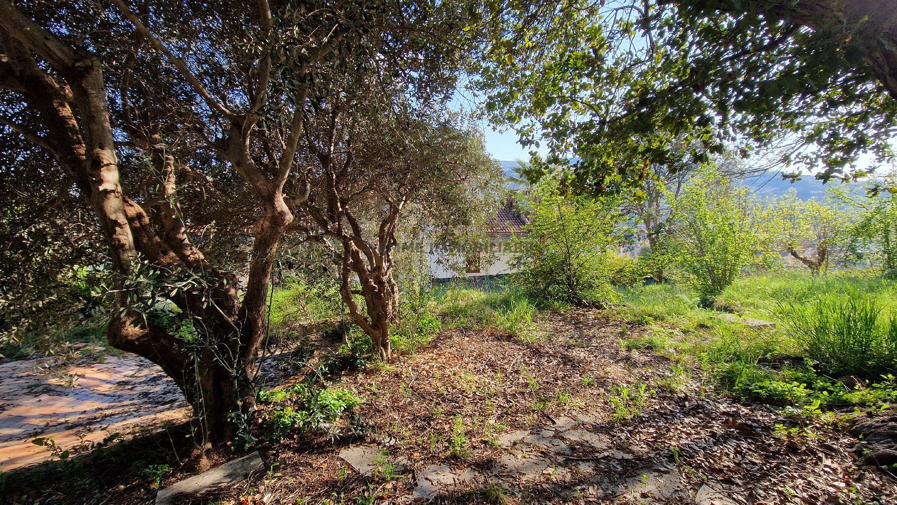 5071 - VILLETTA VENDITA ASCOLI PICENO ZONA MONTICELLI - € 205.000 30