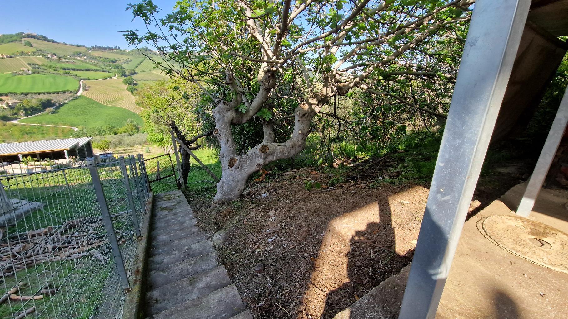 5109 - CASA INDIPENDENTE VENDITA MONTEPRANDONE ZONA MONTEPRANDONE - € 280.000 44