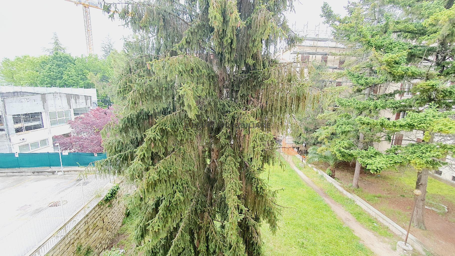 5136 - APPARTAMENTO VENDITA ASCOLI PICENO ZONA CAMPO PARIGNANO - € 125.000 7