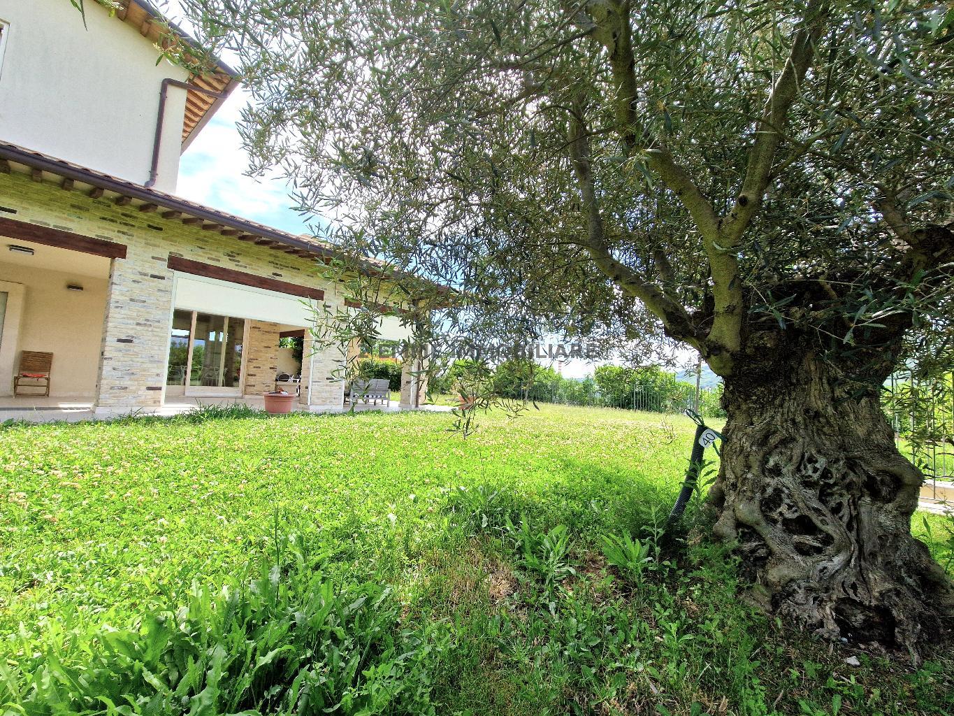 5193 - VILLA VENDITA ASCOLI PICENO ZONA CAMPO PARIGNANO - € 640.000 31