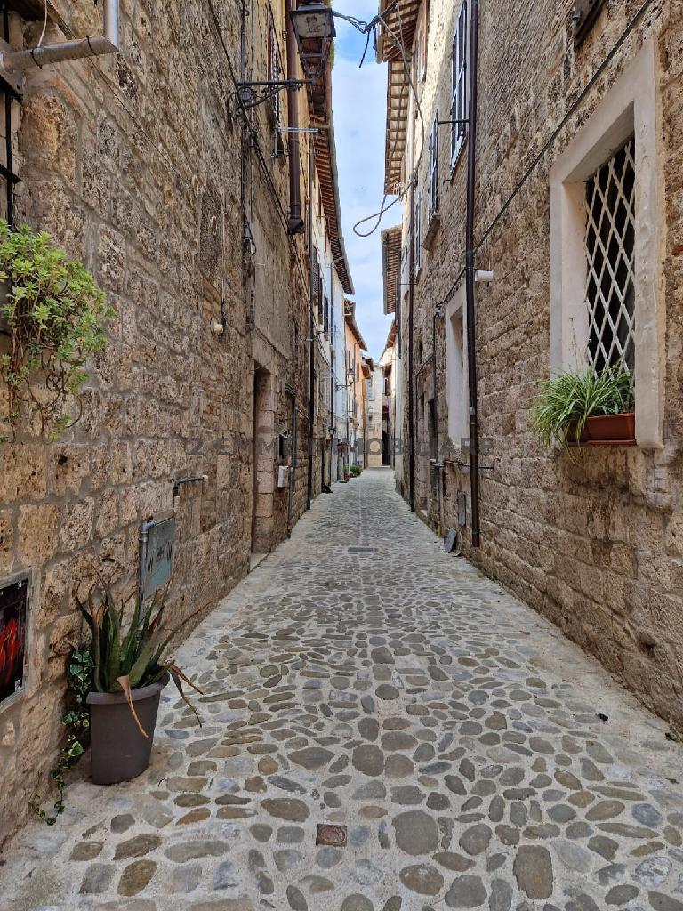 5276 - APPARTAMENTO RUAMAGI AFFITTO ASCOLI PICENO ZONA CENTRO - TRATTATIVA RISERVATA 8